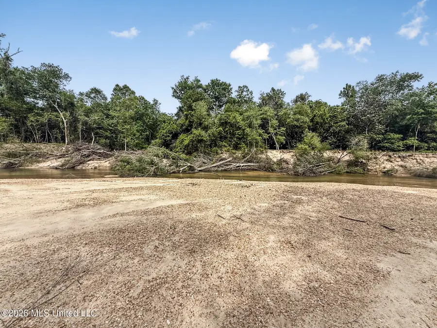 3195 Leatherwood Road, Tylertown, MS 39667 - #2