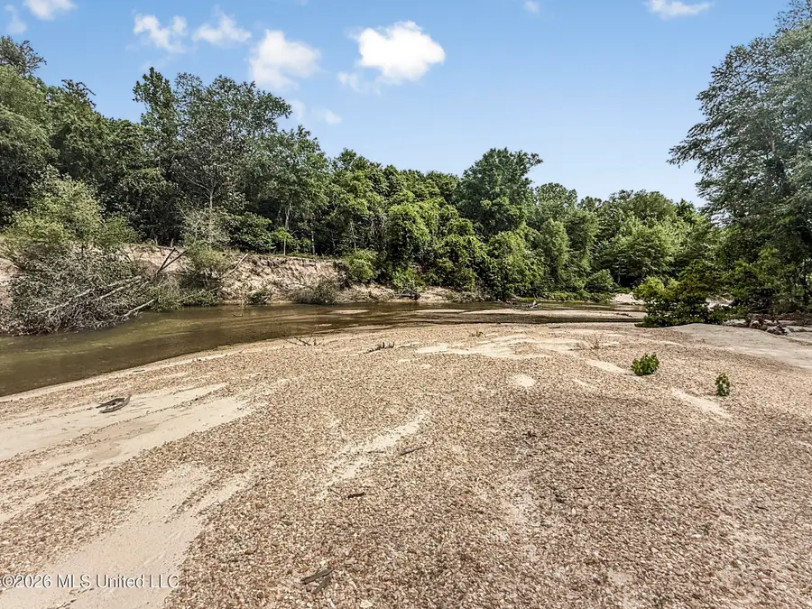 3195 Leatherwood Road, Tylertown, MS 39667 - #3