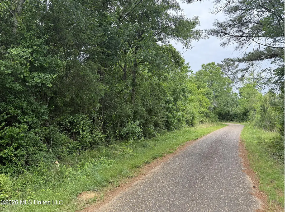 Grady Lane, Magnolia, MS 39652 - #1