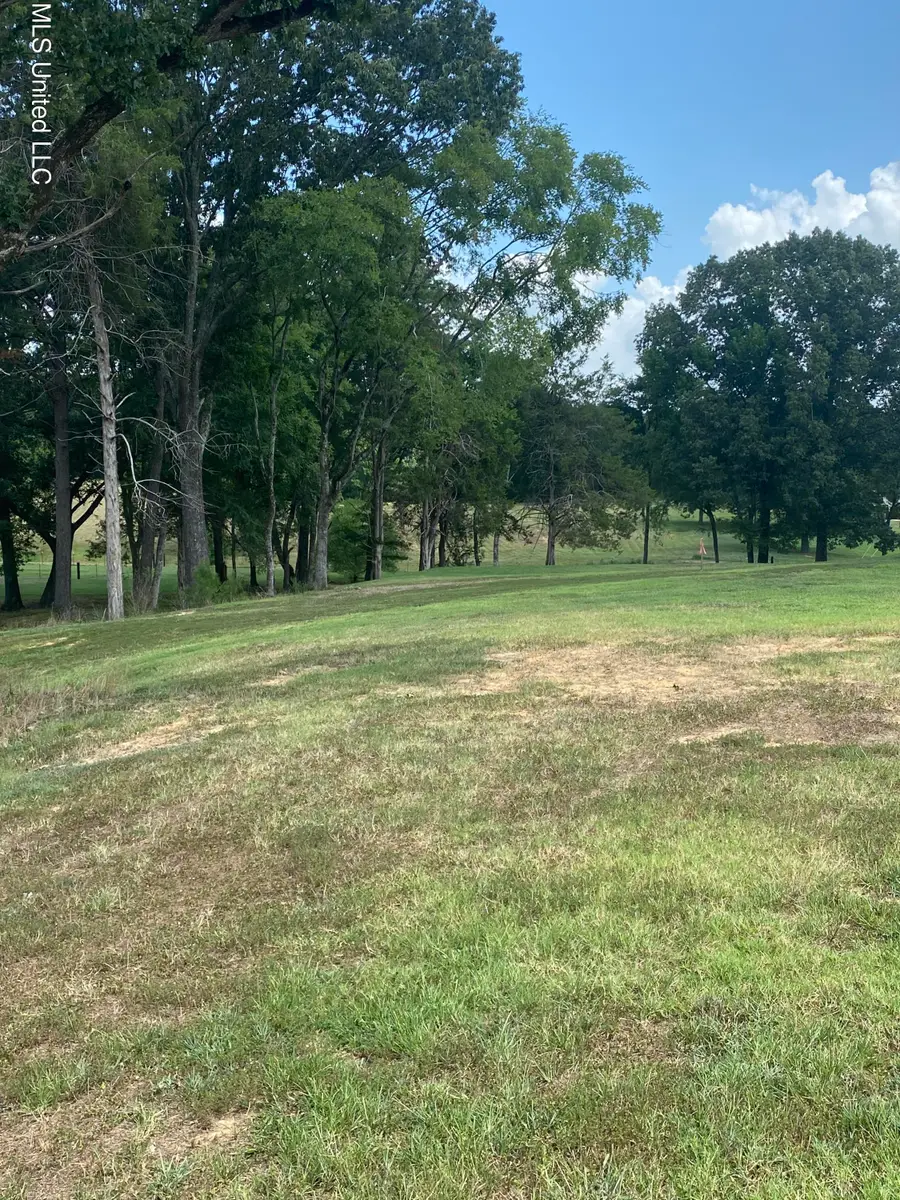 0 Hunters Walk Cove, Hernando, MS 38632 - #2