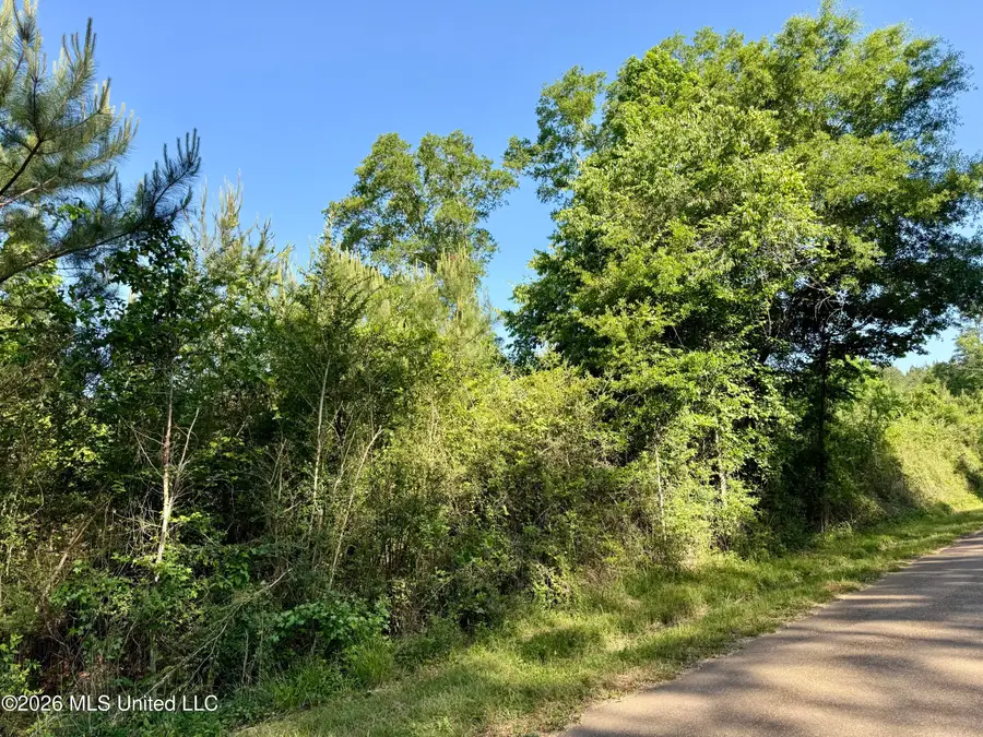 Church Road, Magnolia, MS 39652 - #2