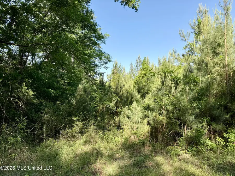 Church Road, Magnolia, MS 39652 - #3