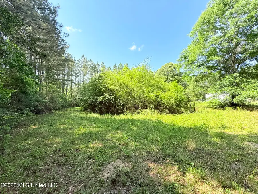 49 Page Drive, Moselle, MS 39459 - #3