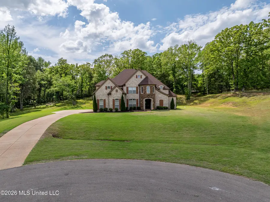 7181 Remington Cove, Hernando, MS 38632 - #2