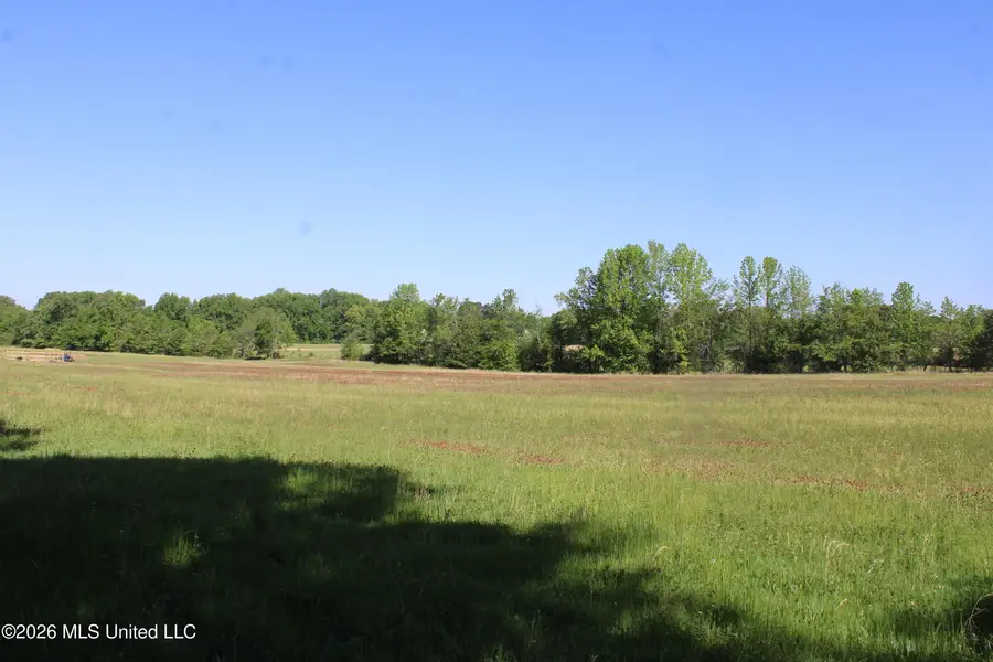 7300 Dean Road, Lake Cormorant, MS 38641 - #2