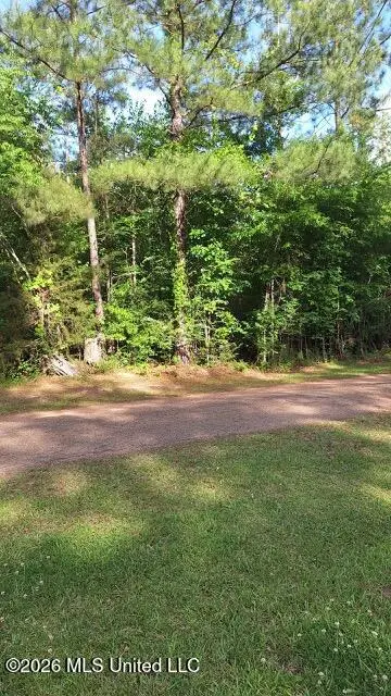 000 Smith Lane, Wesson, MS 39191