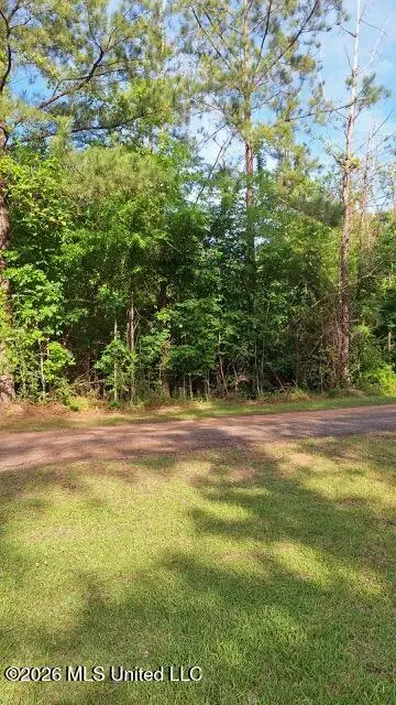 000 Smith Lane, Wesson, MS 39191 - #2
