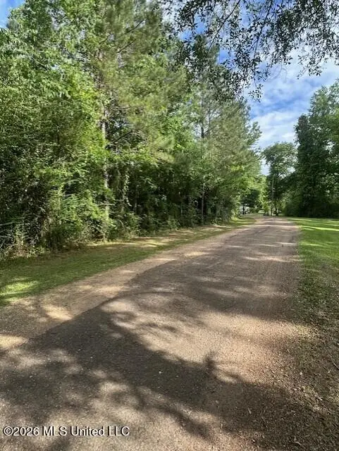 000 Smith Lane, Wesson, MS 39191 - #3