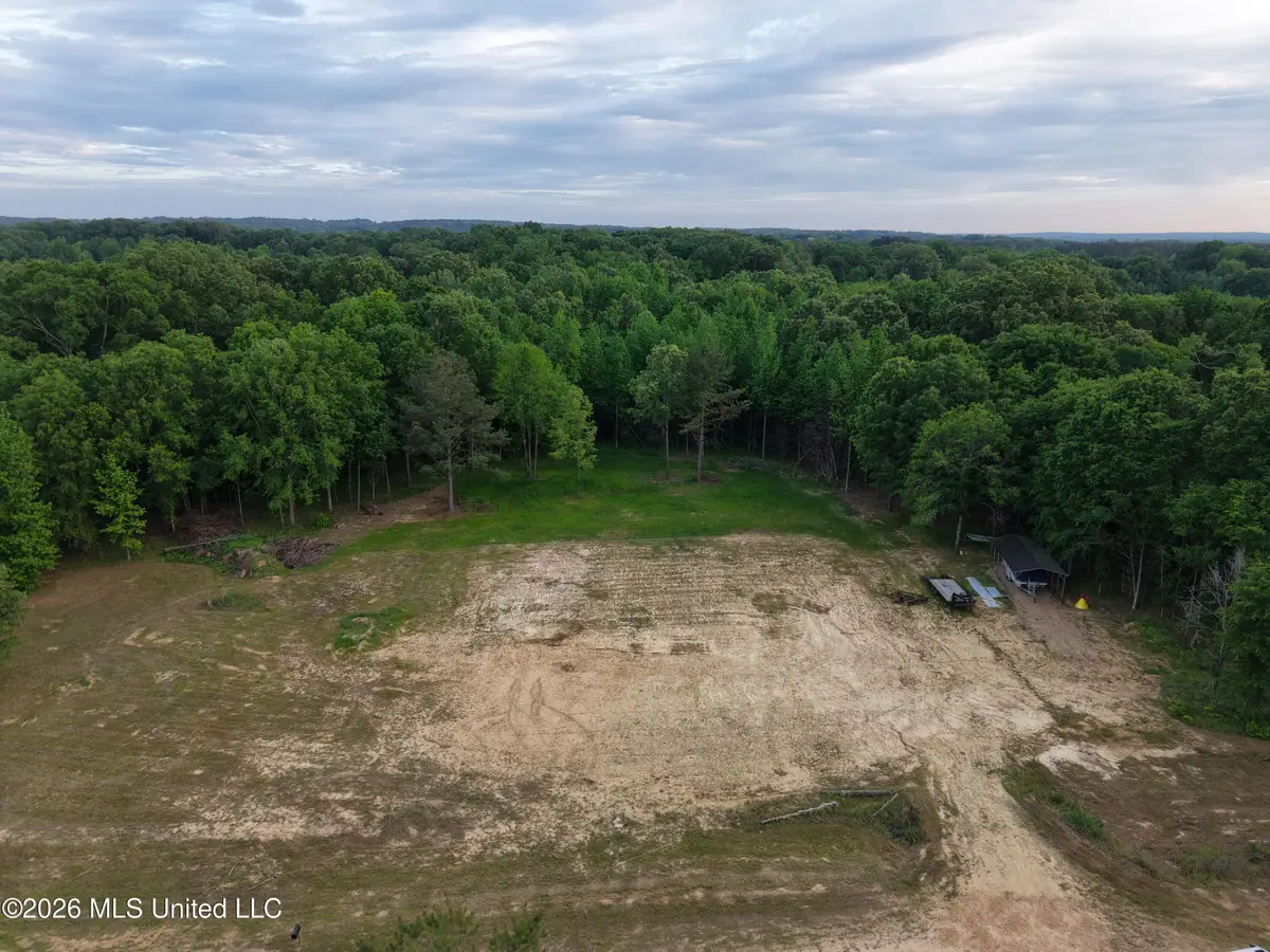 183 Central Boulevard, Flora, MS 39071 - #1