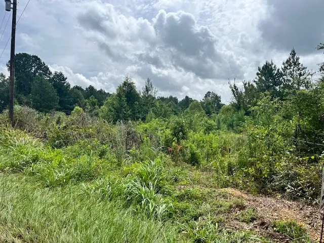 Cole Drive Se, Ruth, MS 39662 - #2