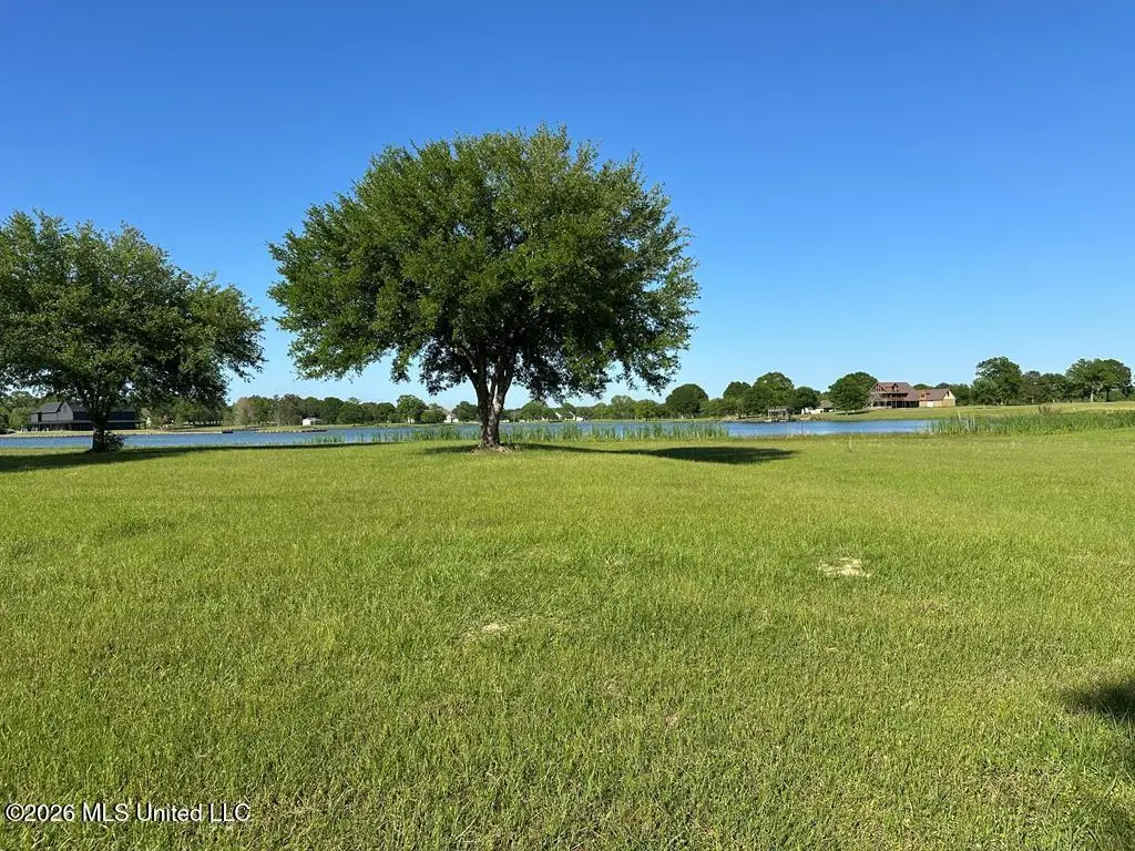 Long Island Road, Poplarville, MS 39470 - #1