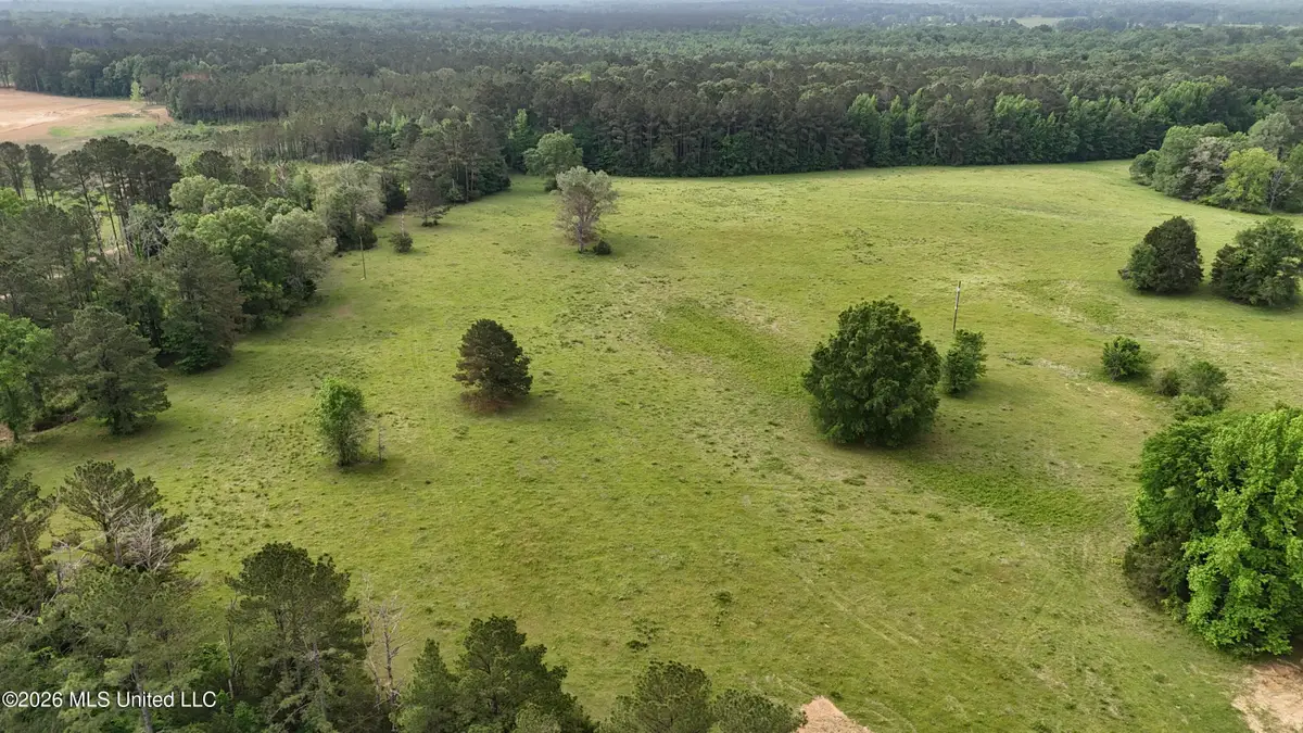 Sulphur Springs Road, Lot 7, Canton, MS 39046 - #1