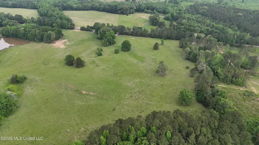 Sulphur Springs Road, Lot 7, Canton, MS 39046 - #3