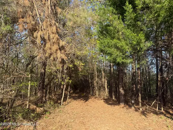 Robert Ford Road, Waterford, MS 38685