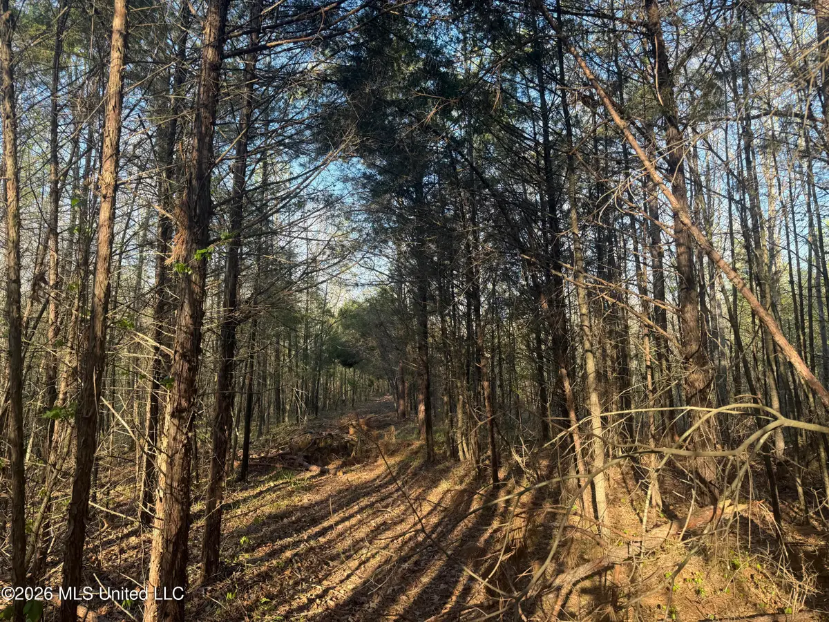 Robert Ford Road, Waterford, MS 38685 - #1