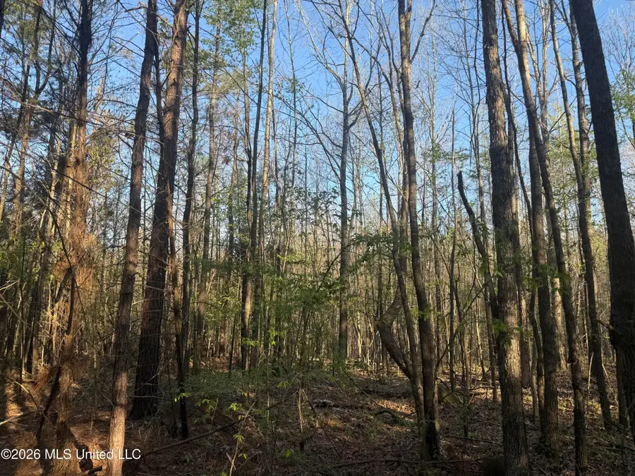 Robert Ford Road, Waterford, MS 38685 - #3