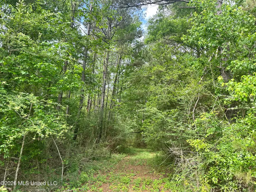 Mccomb Holmesville Road, McComb, MS 39648 - #2