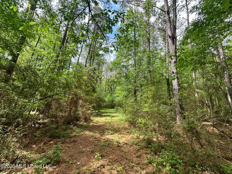 Mccomb Holmesville Road, McComb, MS 39648 - #3