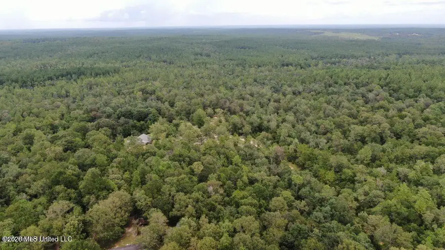 Busby Road, Vancleave, MS 39565 - #2