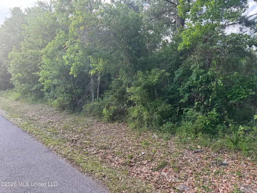 221 Julia Street, Bay Saint Louis, MS 39520 - #3