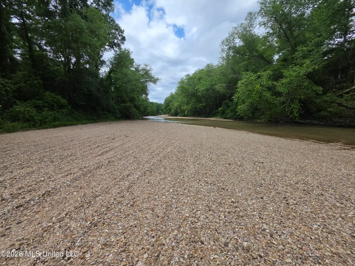 148 William Steen Road, Monticello, MS 39654 - #1