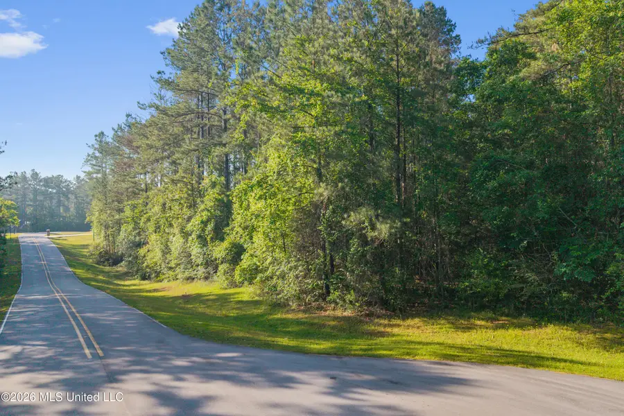 0 Silver Hawk, Saucier, MS 39574 - #2