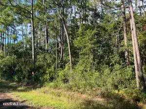 Beach Street, Ocean Springs, MS 39564 - #1