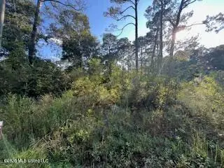 Persimmon Avenue, Ocean Springs, MS 39564 - #2