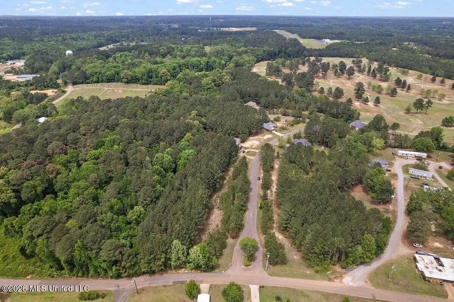 Eagle Cove, Carthage, MS 39051 - #3