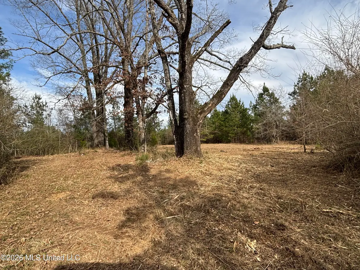 Hwy 28, Hazlehurst, MS 39083 - #1