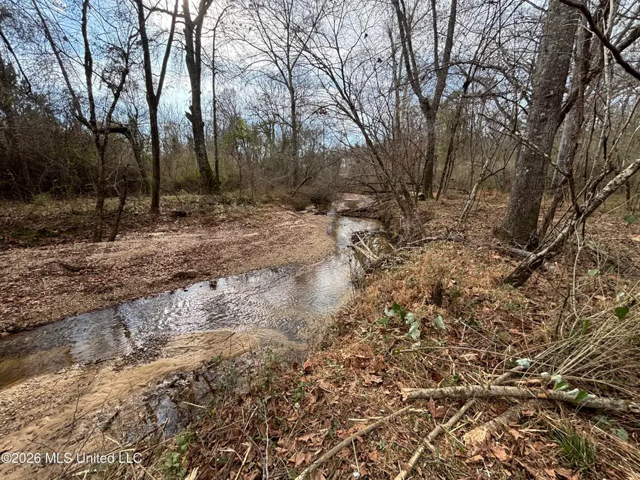 Hwy 28, Hazlehurst, MS 39083 - #3