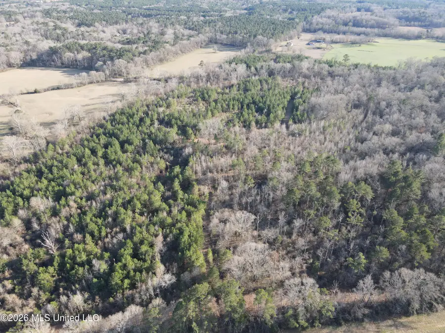 Mississippi 28, Hazlehurst, MS 39083 - #2