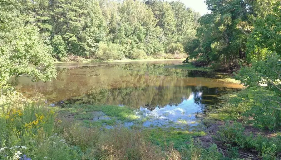 1148 Morgantown Road, McComb, MS 39648 - #2