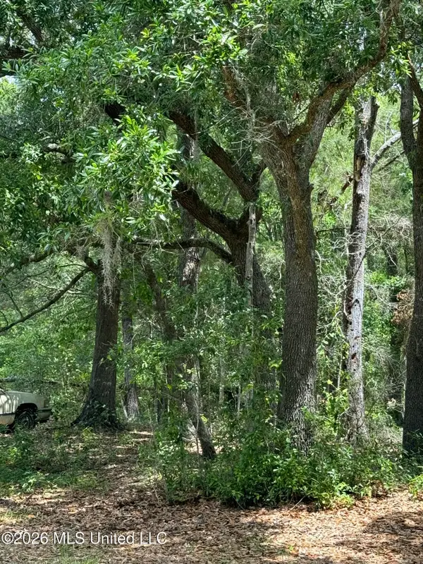 00 Dicks Street, Waveland, MS 39576