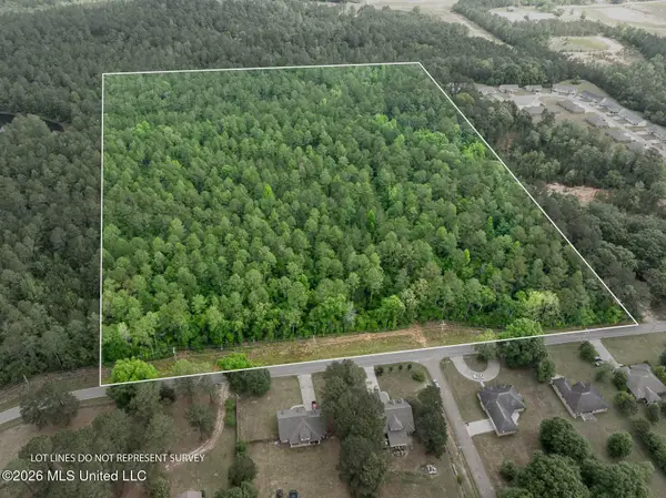 23.25+/- Jm Burge Road, Hattiesburg, MS 39402