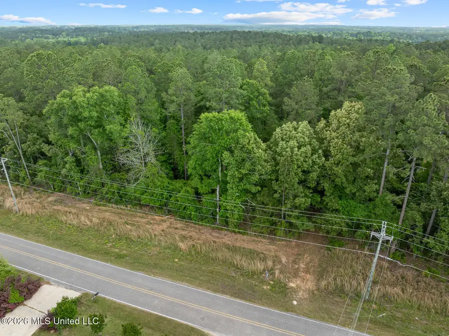 23.25+/- Jm Burge Road, Hattiesburg, MS 39402 - #2