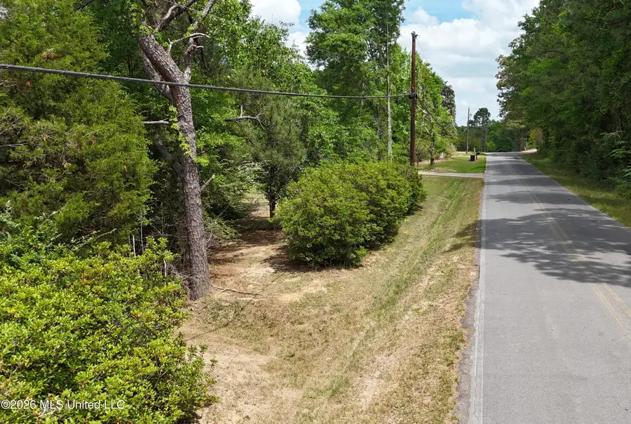 Old Mobile Highway, Lucedale, MS 39452 - #3