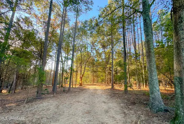 Mount Leopard Road, Flora, MS 39071