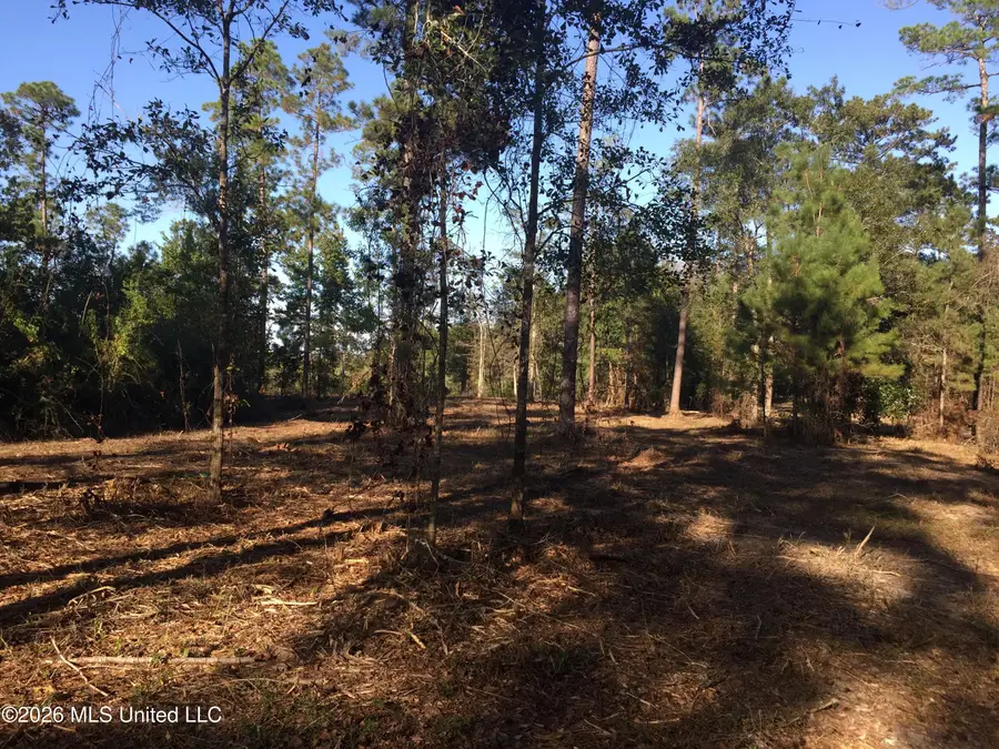 Crump Road, Kiln, MS 39556 - #3