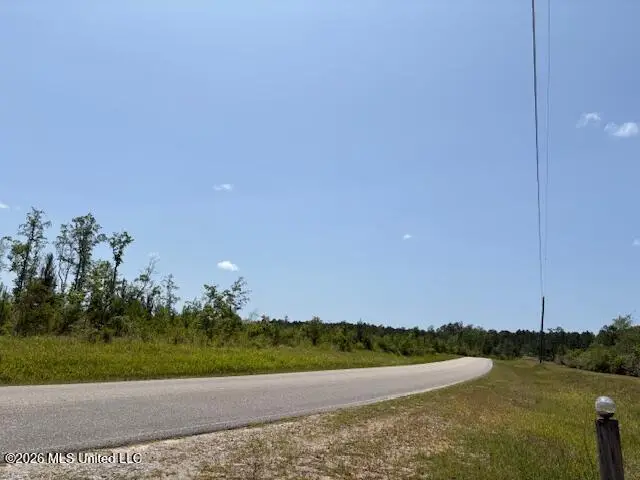 W Wire Road, Vancleave, MS 39565 - #2