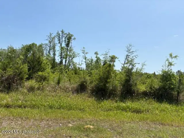 W Wire Road, Vancleave, MS 39565 - #3