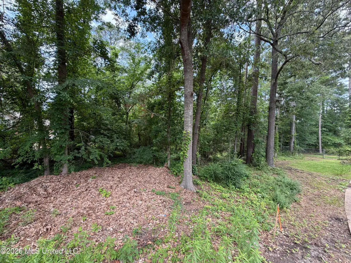 136 Plum Tree Road, Brandon, MS 39047 - #1