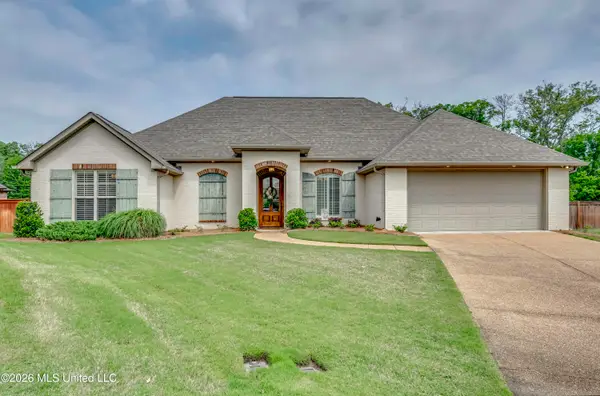 507 E Cowan Creek Cove, Brandon, MS 39047