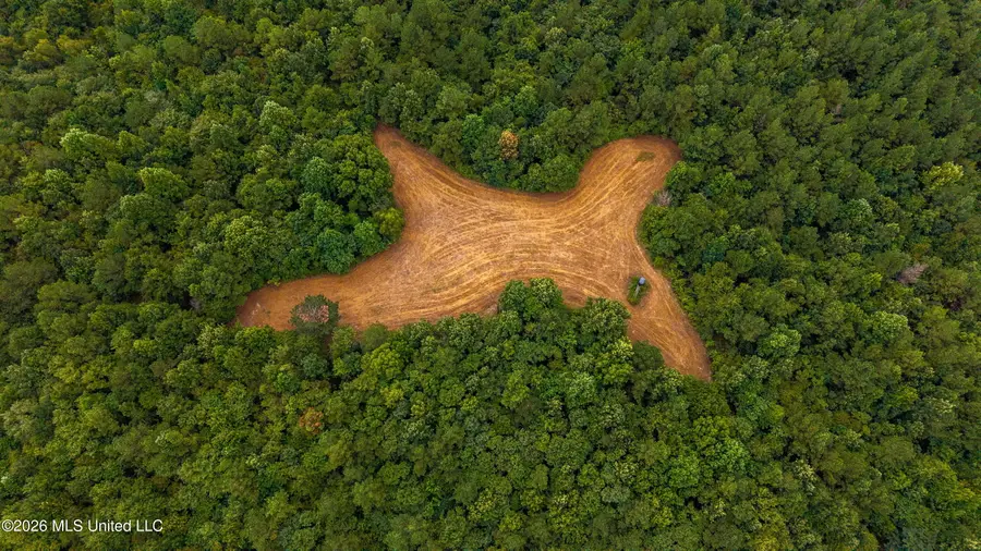 N Mollett Road, Benton, MS 39039 - #2