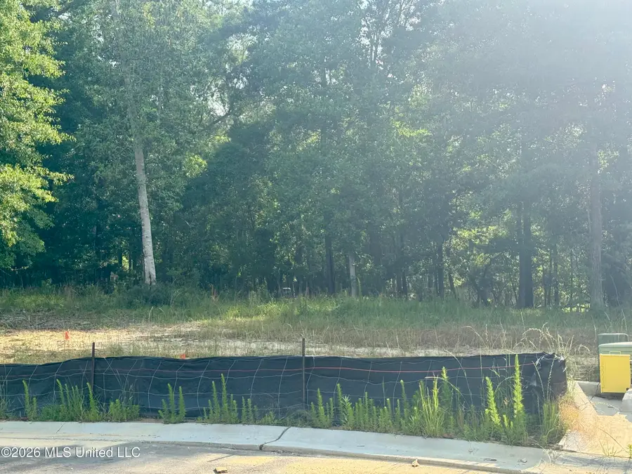 Lot 7 Maluhia Cove, Diamondhead, MS 39525 - #3