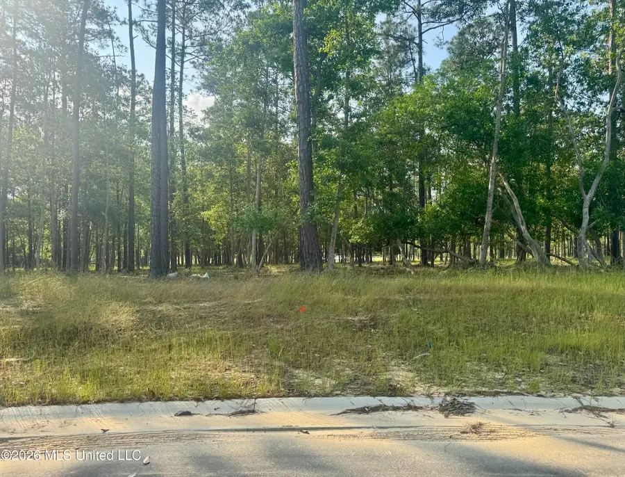 Lot 30 Maluhia Drive, Diamondhead, MS 39525 - #3