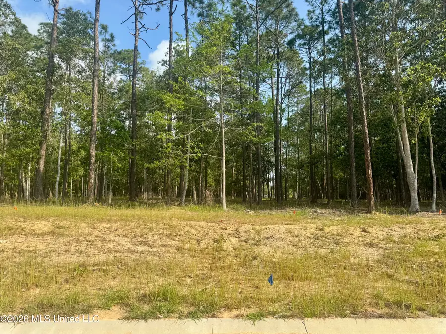 Lot 36 Maluhia Drive, Diamondhead, MS 39525 - #3