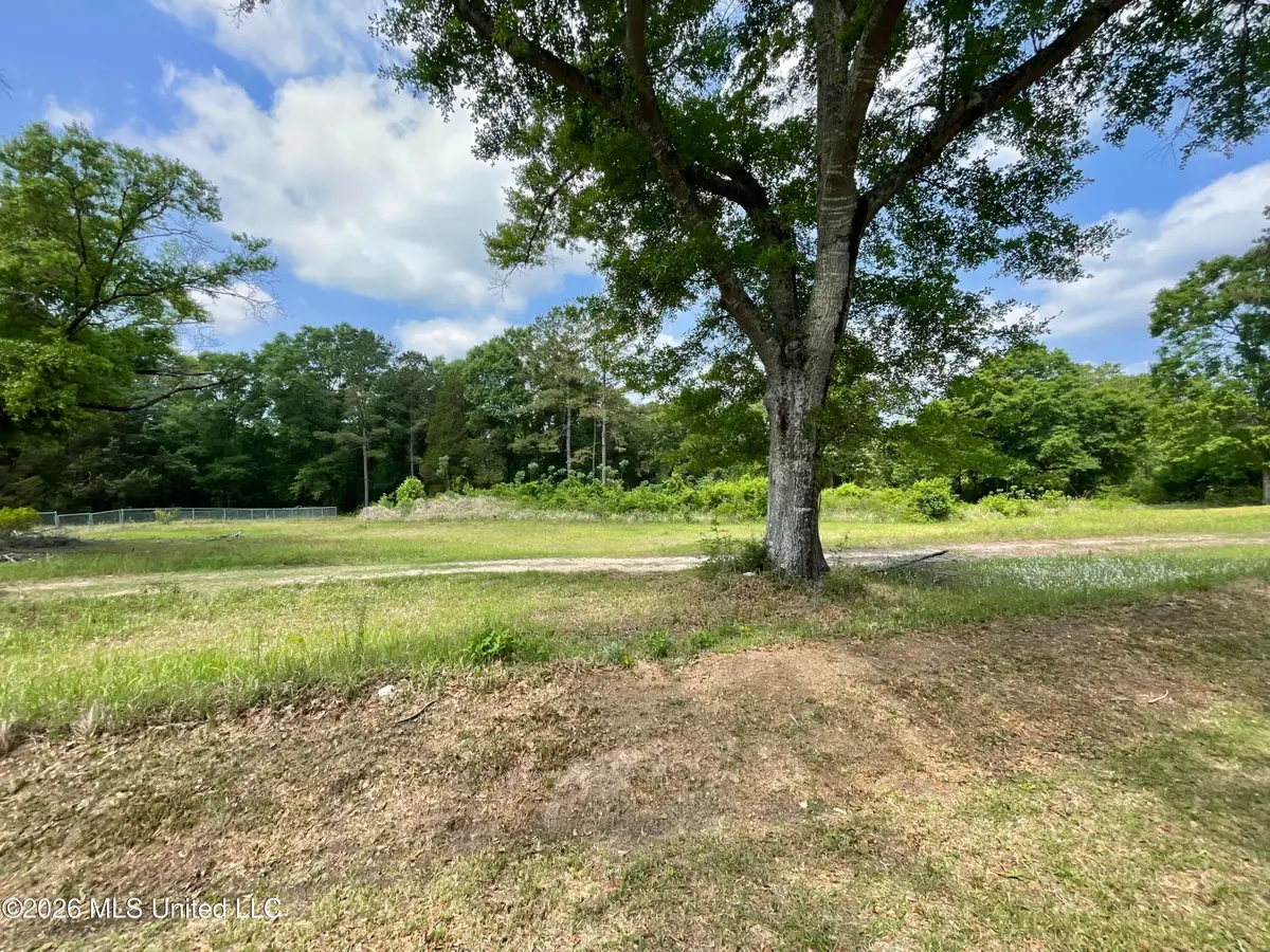 Beaver Dam Road, Lucedale, MS 39452 - #1