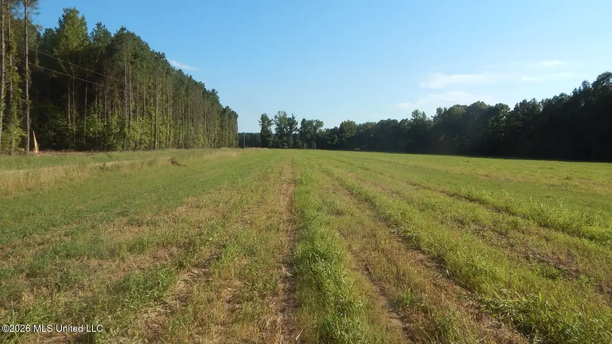555 County Road 247 Country Road, Bruce, MS 38915 - #1