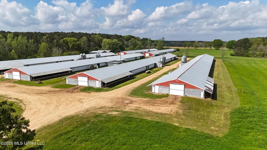 6620 Adams Road, Smithdale, MS 39664 - #2